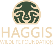 Haggis Wildlife Foundation