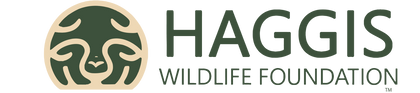 Haggis Wildlife Foundation