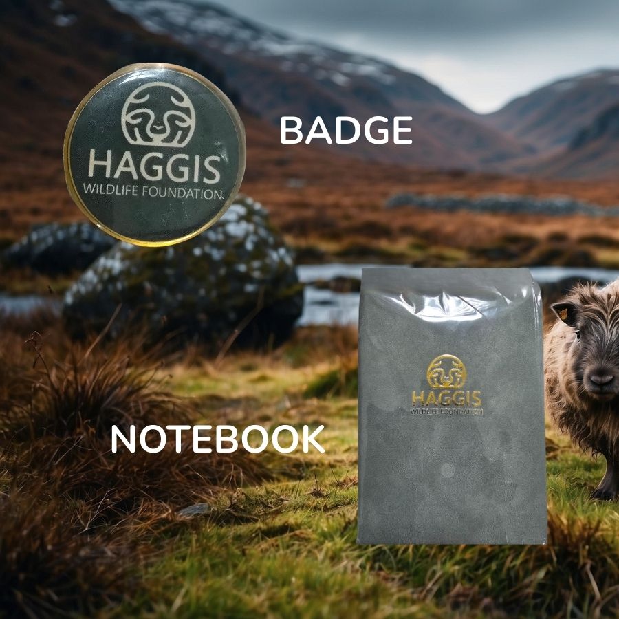 Wild Haggis Enthusiast Official Starter Kit: Essentials Tools for Your Scottish Adventure!