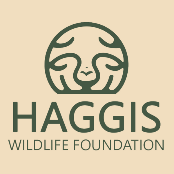 Haggis Wildlife Foundation 