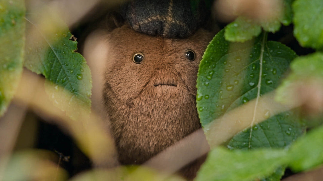 The Common Garden Haggis