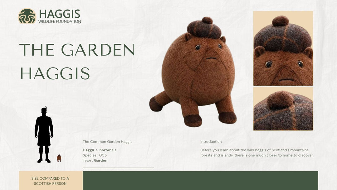 Wild Haggis Toy - The Garden Haggis