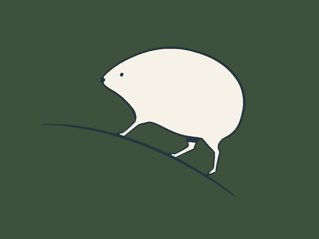 Scottish Wild Haggis Animal Expert