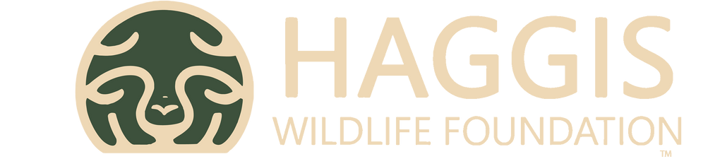 Haggis wildlife foundation Logo Light