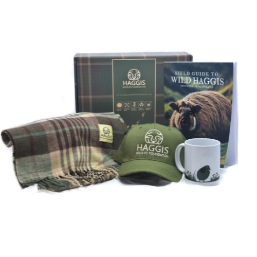 Wild Haggis Scottish Gift Box Set | The Essence of Scotland