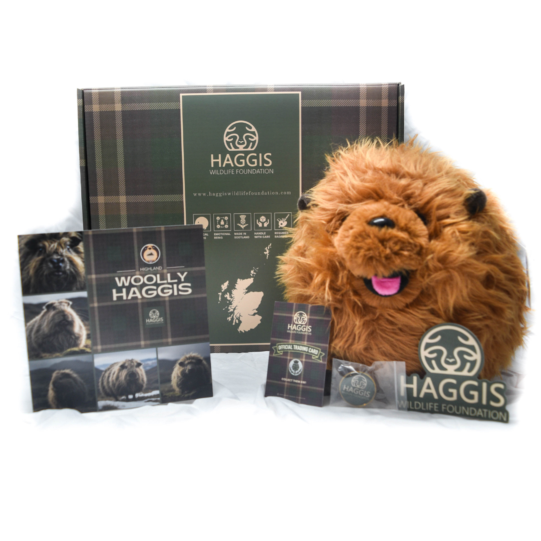 Scottish Woolly Highland Haggis Toy