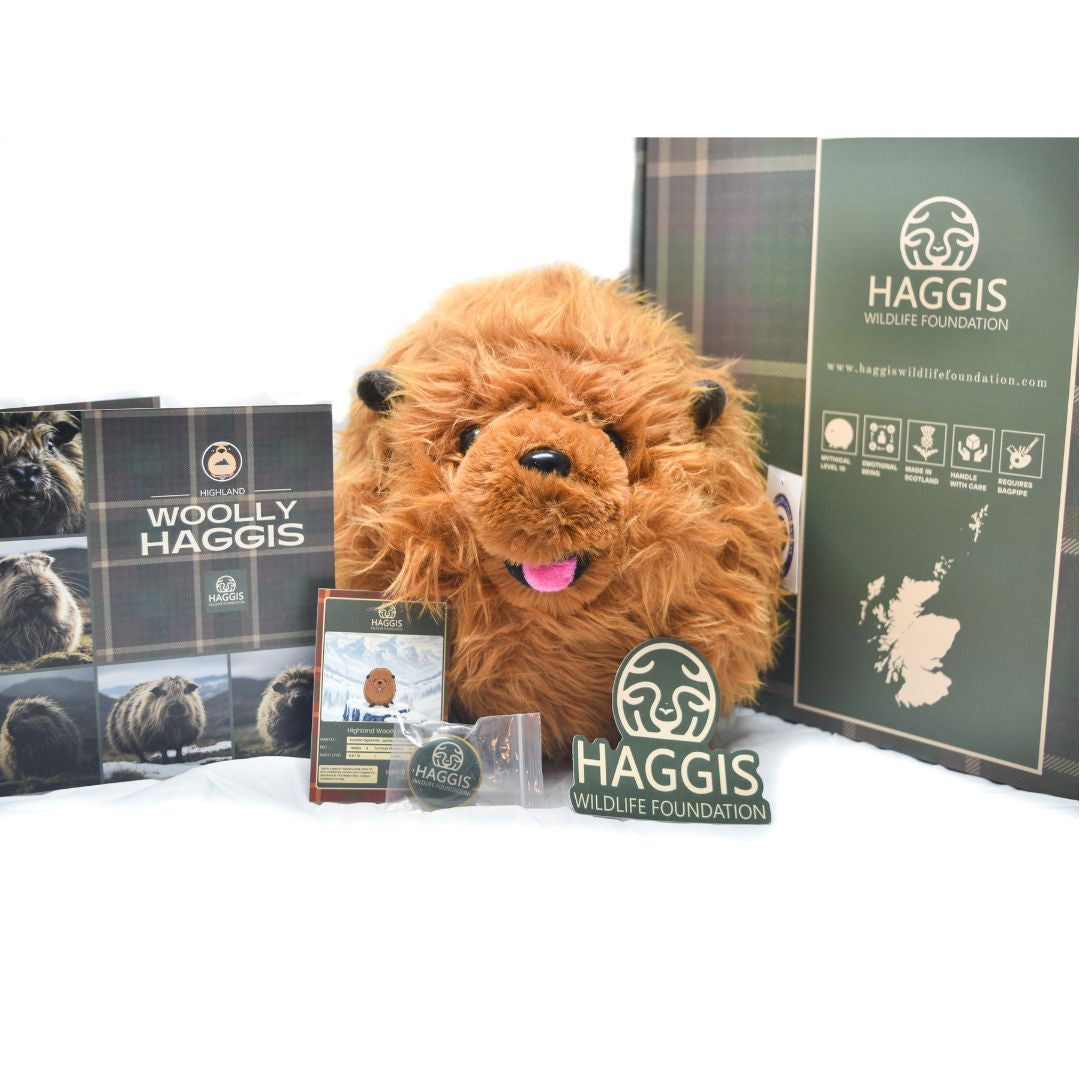 Plush toy lion with Haggis Wildlife Foundation branding on a white background