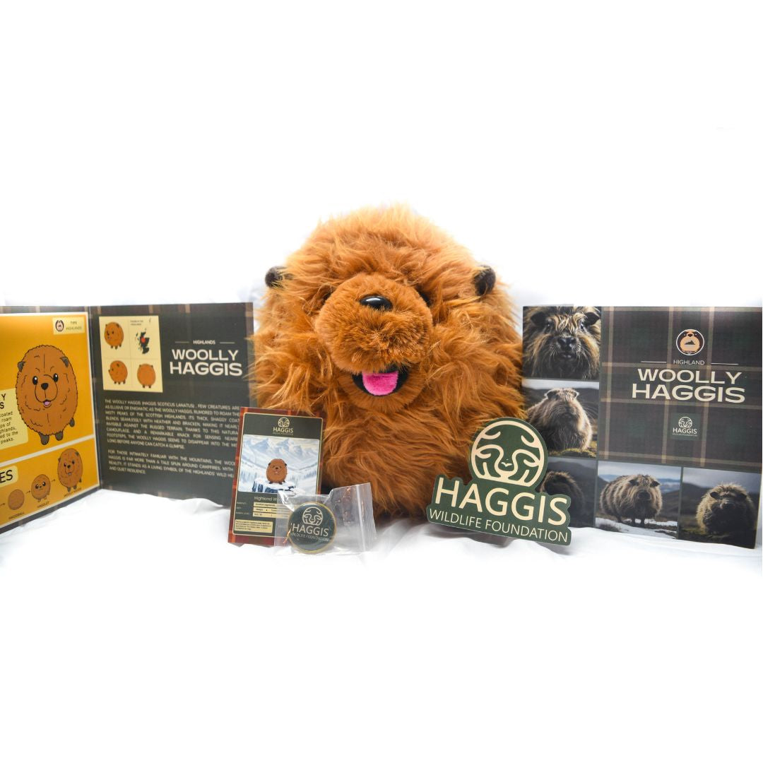 Plush toy resembling a haggis with promotional materials for the Haggis Foundation on a white background