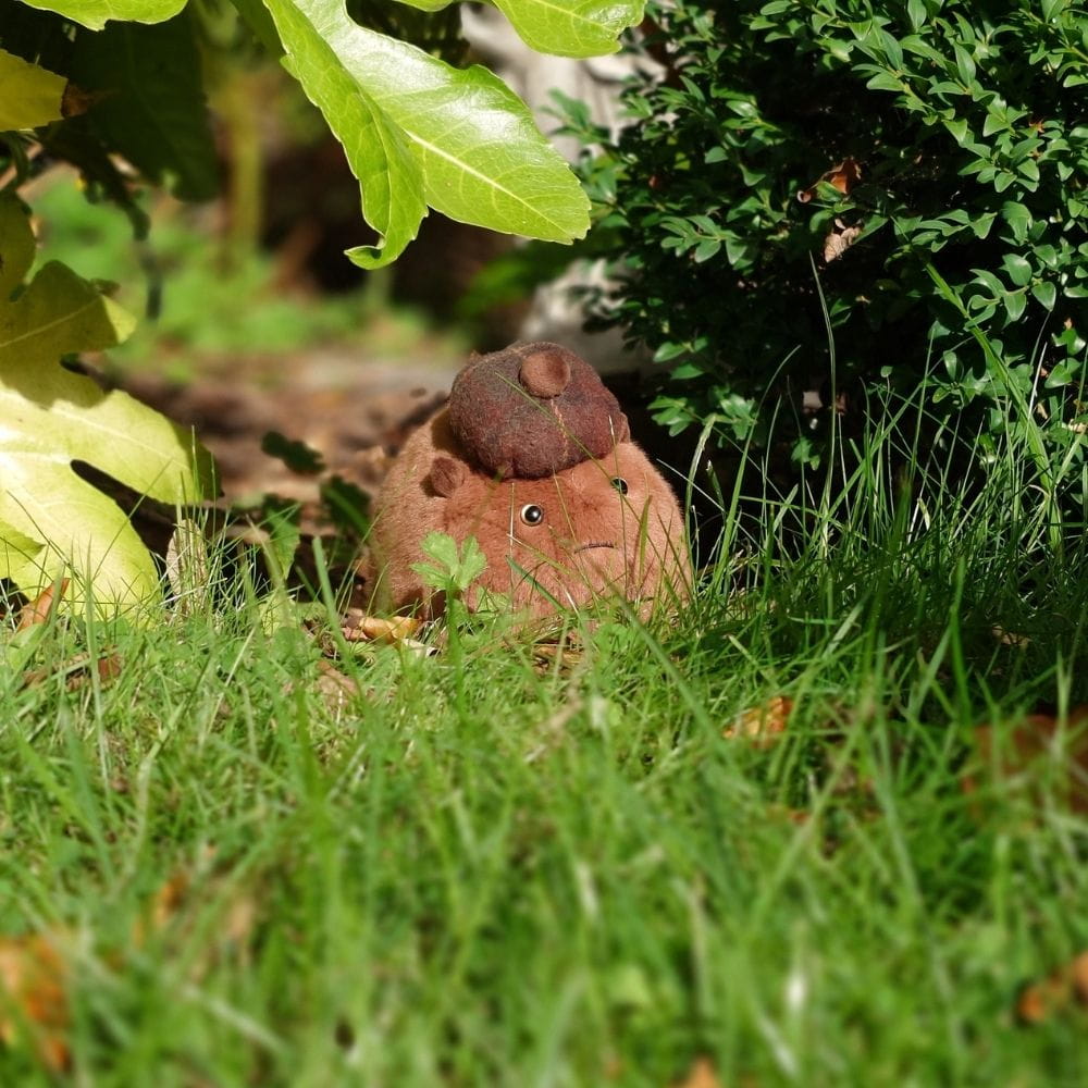 Haggis Animal Plush – The Common Garden Haggis