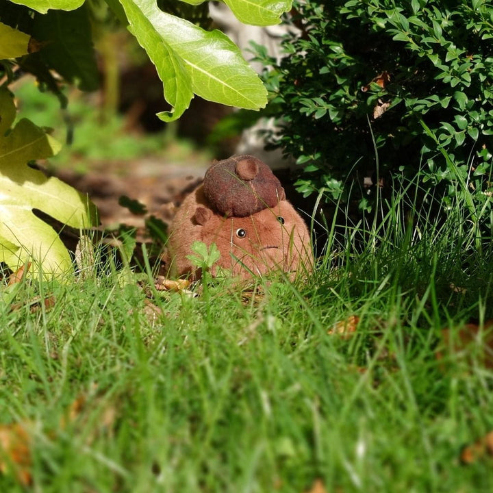 Haggis Animal Plush – The Common Garden Haggis