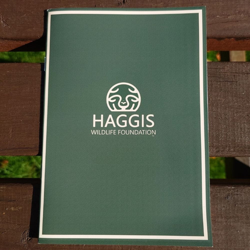 Haggis Animal Plush – The Common Garden Haggis