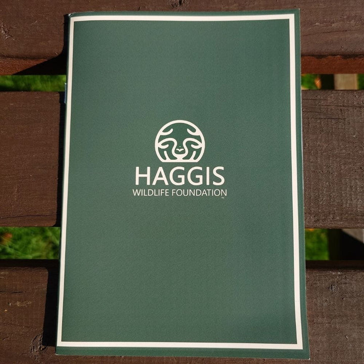 Haggis Animal Plush – The Common Garden Haggis