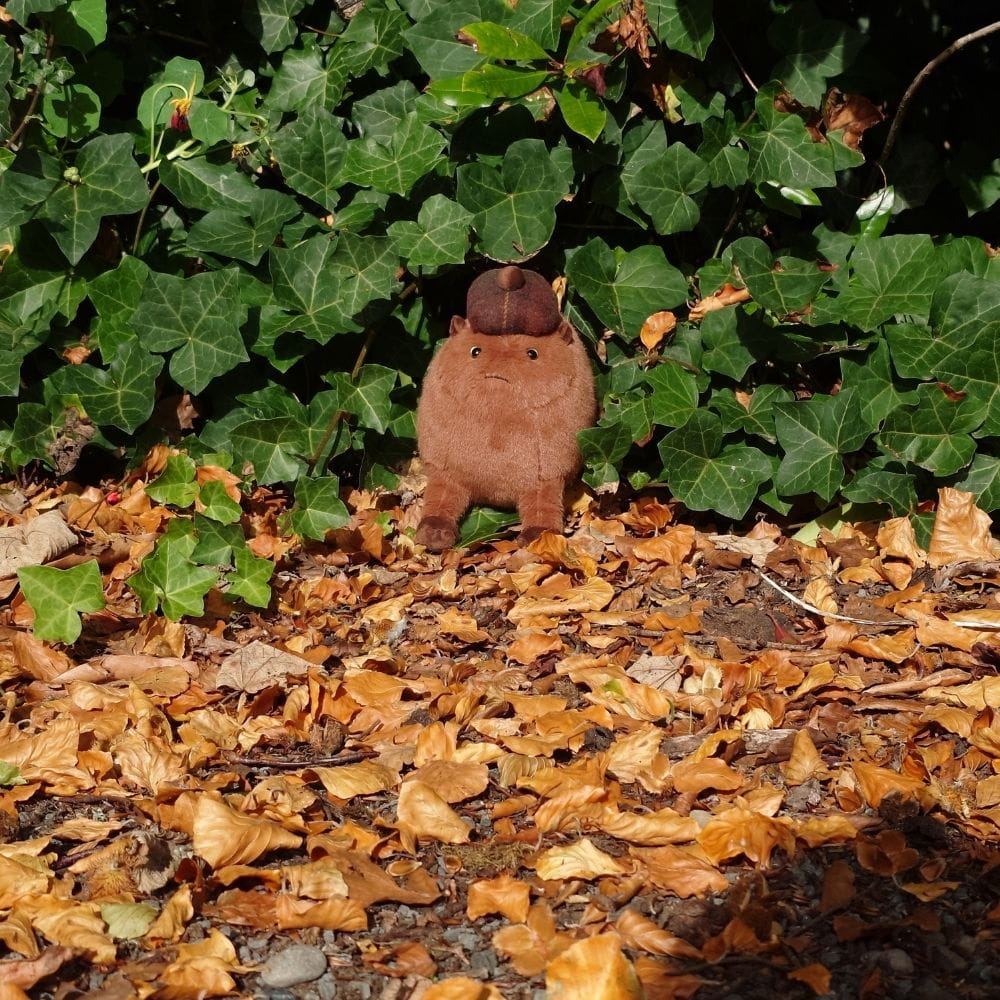 Haggis Animal Plush – The Common Garden Haggis